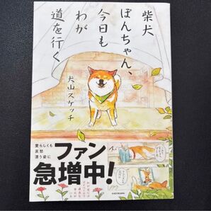 柴犬ぽんちゃん、今日もわが道を行く 犬山スケッチ