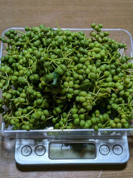 100g 実山椒 山椒の実 無農薬