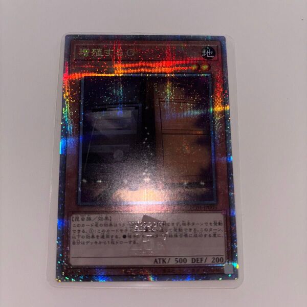 増殖するG 25th クオシク