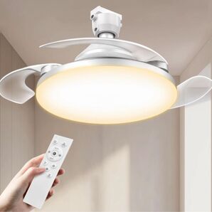 【2025業界初隠れる羽根】シーリングファンライト LED 8-10畳 E26口金化 メモリー/タイマー無段階調光調色 リモコン