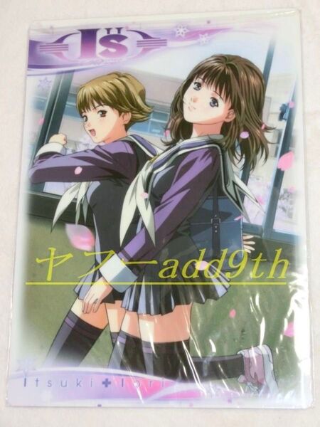 桂正和 I''s pure アイズ 下敷き