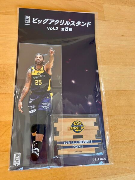 B.LEAGUE【GiGO限定】ビッグアクリルスタンド / D・J.ニュービル