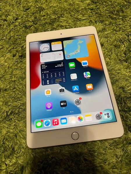 Apple iPad mini4