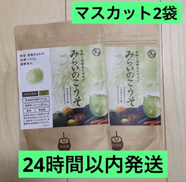 【新品未開封】 みらいのこうそ マスカット味 100g 2袋 タマチャンショップ