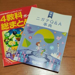 チャレンジ 4教科ポイント総まとめ 数学ニガテQ&A事典 中学受験準備