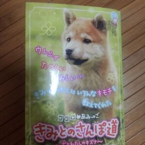 【毎週末倍! 倍! ストア参加】 ココロ あみ→ごきみとのさんぽ道 犬とわたしのキズナ 【参加日程はお店TOPで】