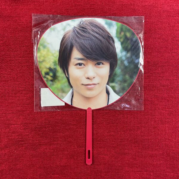 嵐 ARASHI BLAST in Miyagi ミニうちわ 櫻井翔