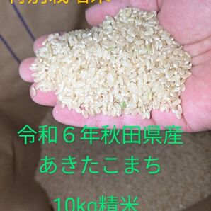 令和6年秋田県産あきたこまち10kg