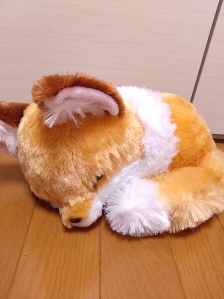 ちょコンとキツネ くるんとおねむ きなこ JB ぬいぐるみ