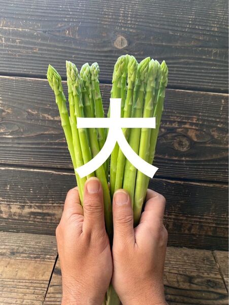 アスパラガス 大 1kg
