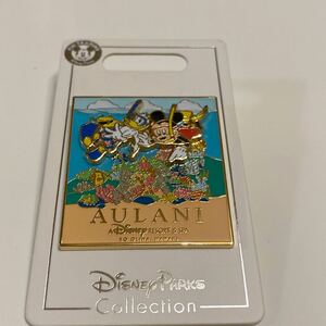  Hawaii aulani Disney resort pin badge pin z Mickey Mouse Donald Duck 