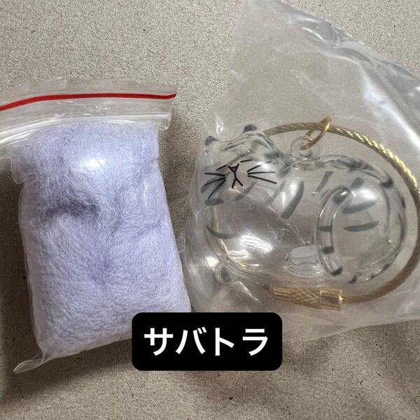 うちの子のけだまだま サバトラ