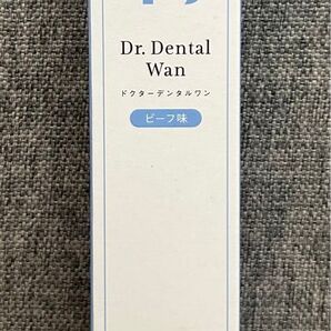 Dr.DentalWan ドクターデンタルワン ビーフ味 30g