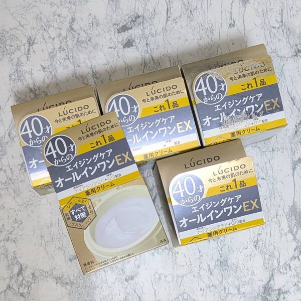 【7月限定価格】 ルシード パーフェクトスキンクリームex オールインワン 5個