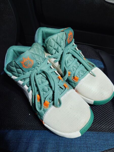 バスケシューズ レブロン ウィットネス 8 EP LEBRON Witness 8 EP NIKE ナイキ