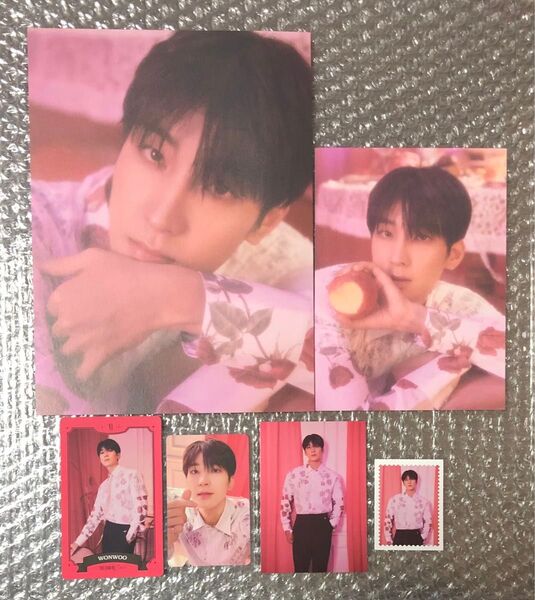 SEVENTEEN シーグリ 2023 ウォヌ トレカ カレンダー ミニポスター フォーチュンカード まとめ売り セブチ