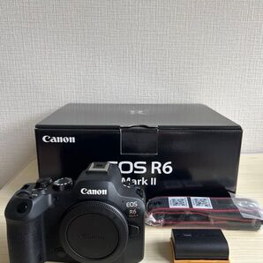 【美品】Canon キヤノン EOS R6 Mark2