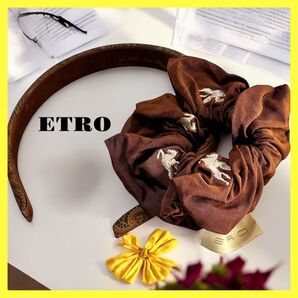 ETRO シュシュ&カチューシャ 2個セット エトロ