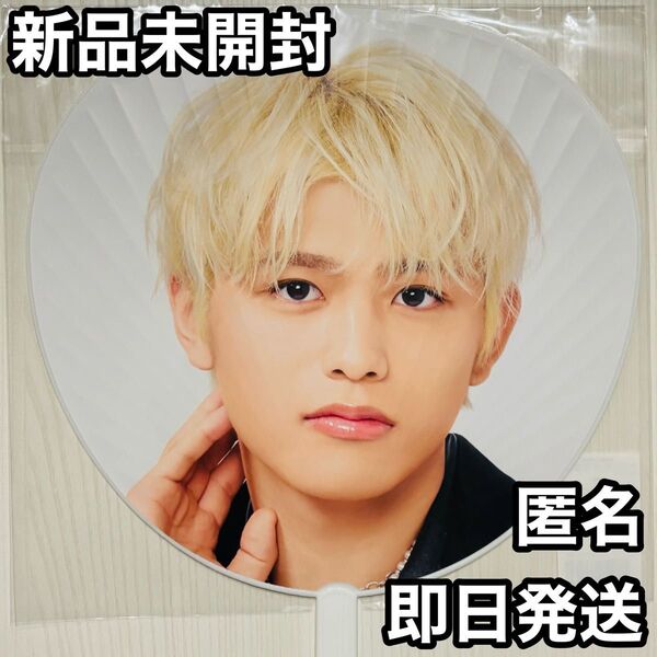 ジャンボうちわ 篠塚大輝 timelesz タイムレス ツアー FAM グッズ