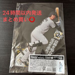 【最終値下げ】阪神タイガース BIGアクリルスタンド 近本光司