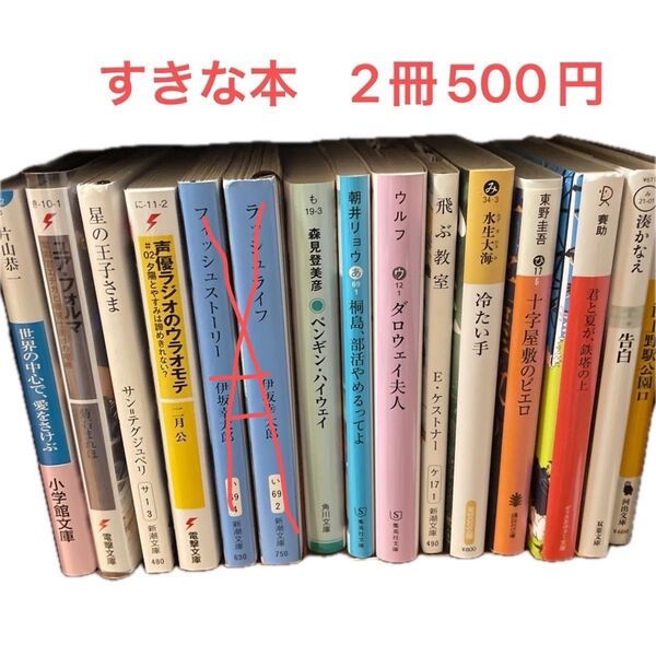 人気小説2冊500円セット