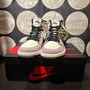 Nike Air Jordan 1 Element GORE-TEX "Sail"