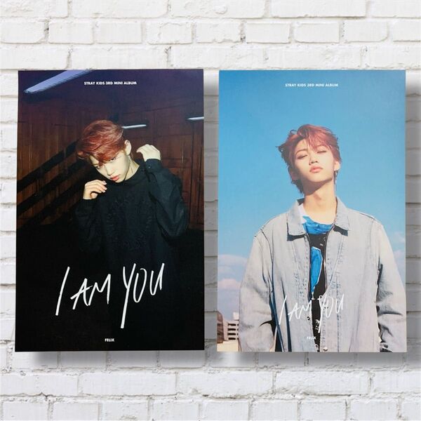 Stray Kids I am YOU 購入者特典 トレカ フィリックス ポストカード