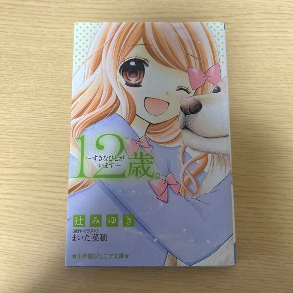 12歳。~すきなひとがいます~ (小学館ジュニア文庫 ジま-1-11) まいた菜穂/原作・イラスト 辻みゆき/著