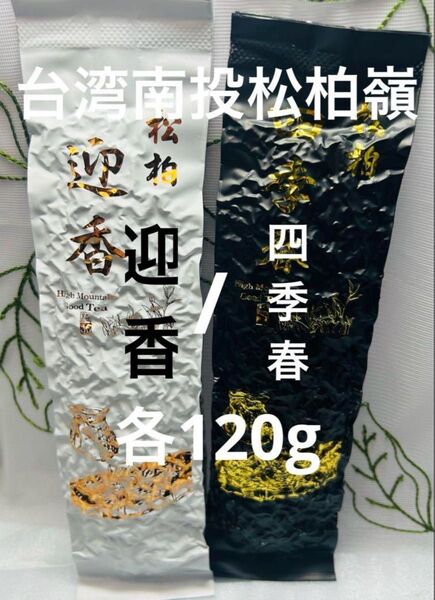 台湾松柏嶺迎香烏龍茶/四季春茶 各120g