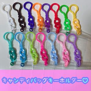 No.228A キャンディバッグ キーホルダーセット 推し活 カラー ガチャ詰め