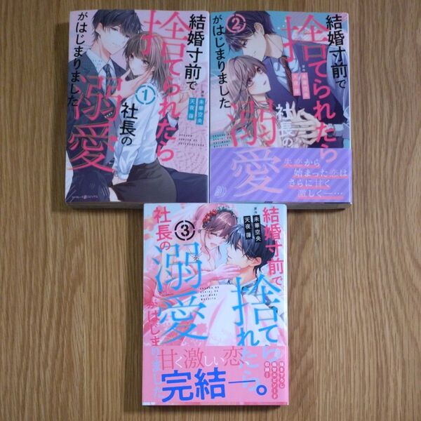 結婚寸前で捨てられたら社長の溺愛がはじまりました 全3巻