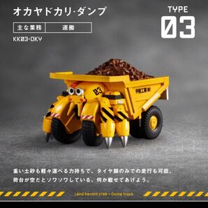 甲殻工業 オオヤドカリ ダンプ