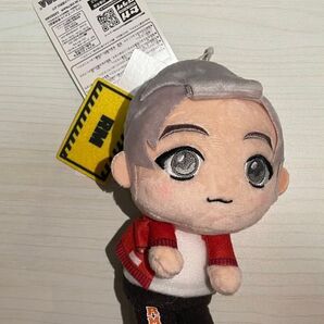 RM BTS キムナムジュン ぬいぐるみ tinytan 新品未使用 タグ付き