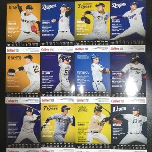 2025 プロ野球チップスカード まとめ売り