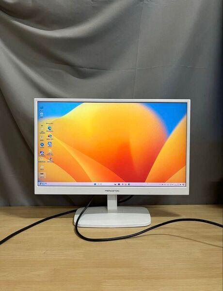 Princeton PTFWDE-22W 21.5インチモニター内蔵スピーカー