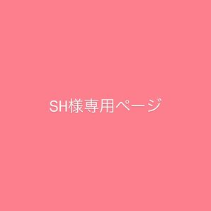 専用ページ