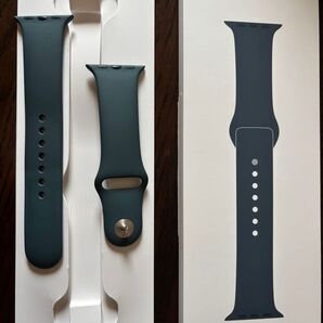 Apple Watch スポーツバンド40mm M/L「レイクグリーン」
