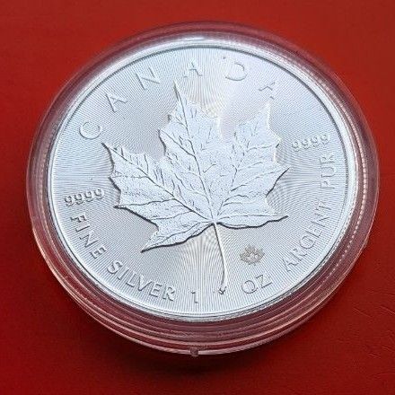 2024年メイプルリーフ銀貨1オンスカプセルケース入