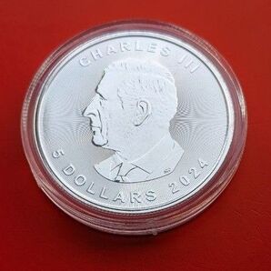 2024年 メイプルリーフ銀貨1オンスカプセルケース入