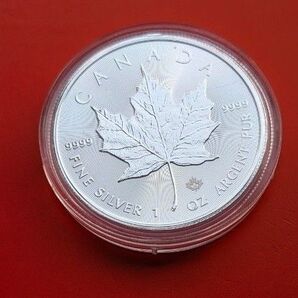 2024年メイプルリーフ銀貨1オンスカプセルケース入