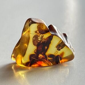 1.1g アンバー こはく 琥珀 amber コハク 原石