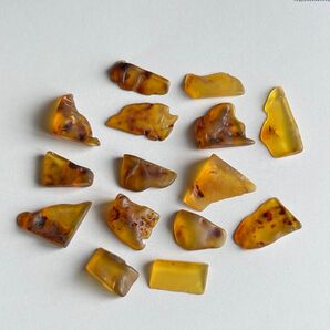 9g バルティックアンバー 原石 薄め セット こはく アンバー コハク amber