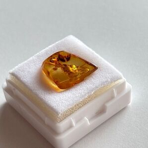 0.5g バルティックアンバー 原石 鉱物標本