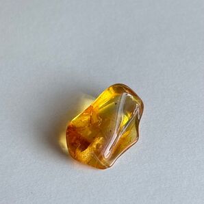 0.8g 琥珀 リトアニア アンバー コハク こはく