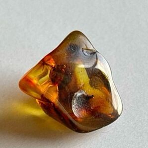0.9g バルティックアンバー 訳あり