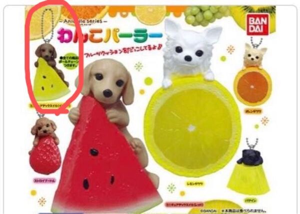 ★早い者勝ち!ラスト1点!わんことスイカ!【新品未開封】アニコラシリーズわんこパーラー(ミニチュアダックスイカ(イエロー))