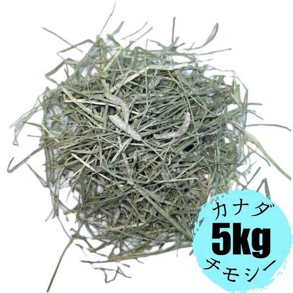 カナダ産 チモシー 1番刈り ダブルプレス 5kg