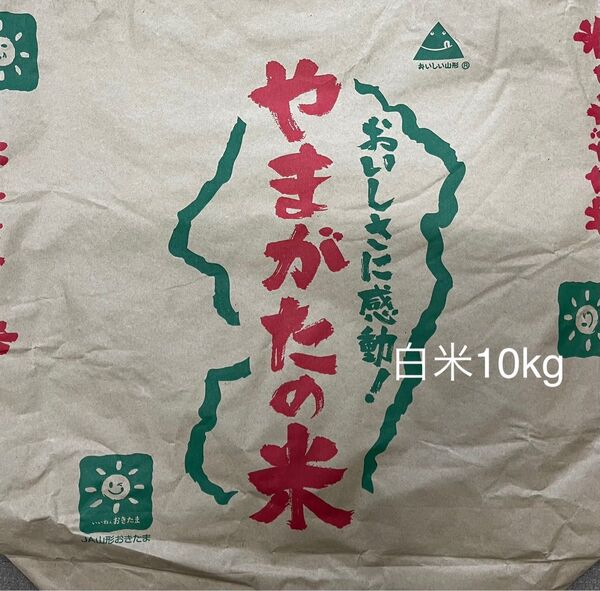 残り2点 白米10kg 令和6年山形県産はえぬき 1等米 JAおきたま