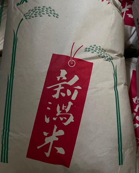 残り3点 白米10kg 令和6年新潟県産こしいぶき 1等米