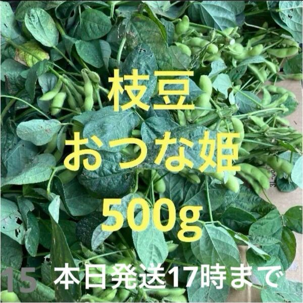 枝豆(おつな姫)500g